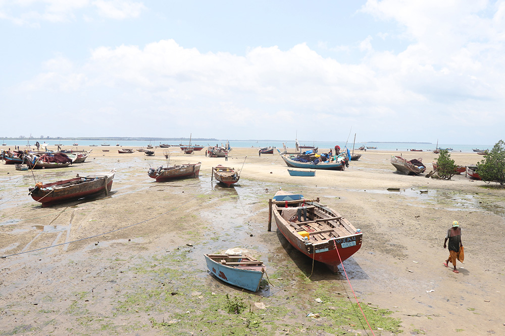 ANADOLIJA/Kaan Bozdoğan