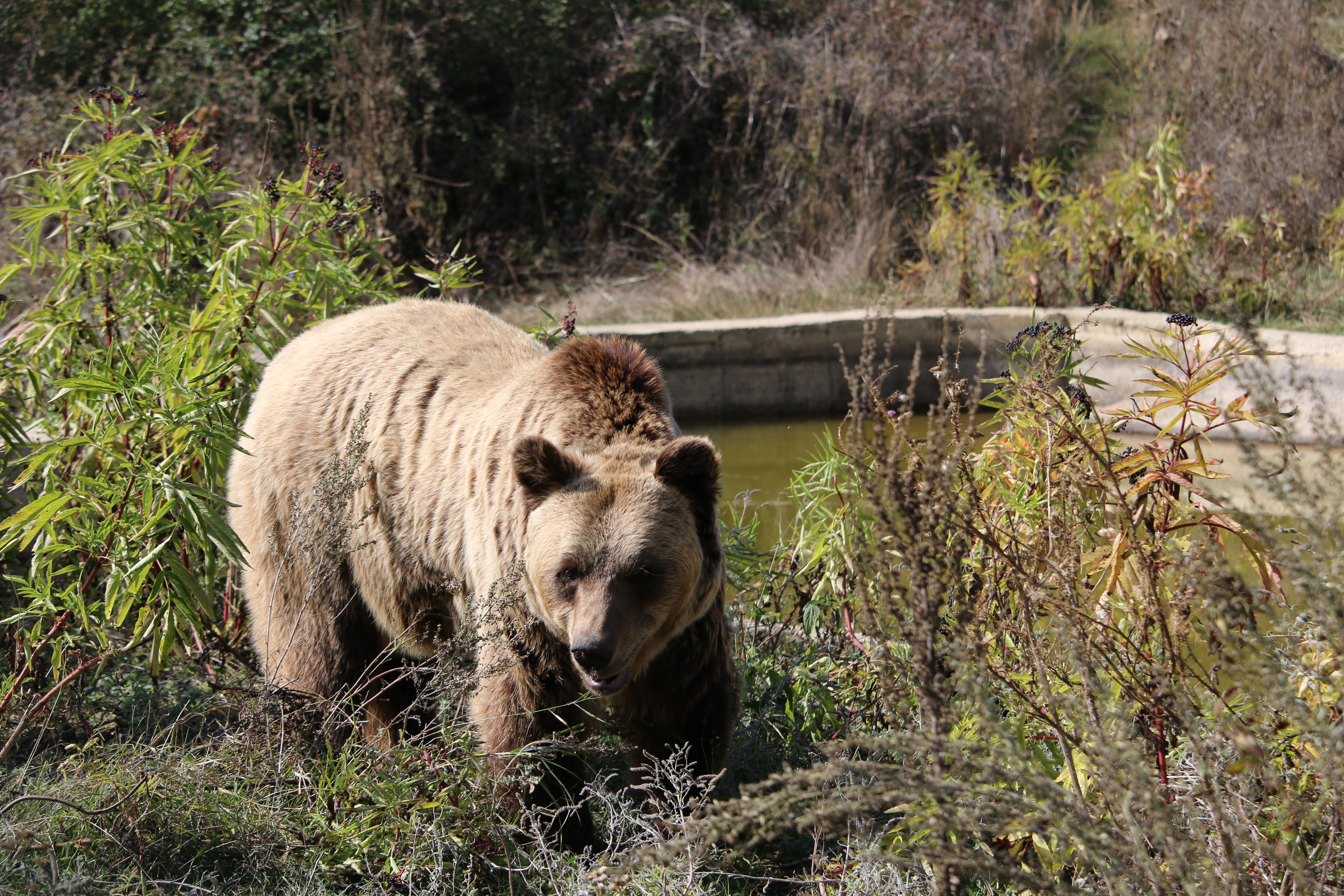 20171007_2_26147964_26570534