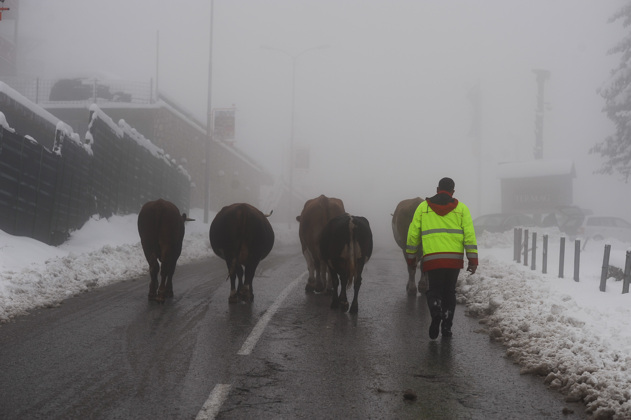 20171007_2_26150377_26575949 - Copy