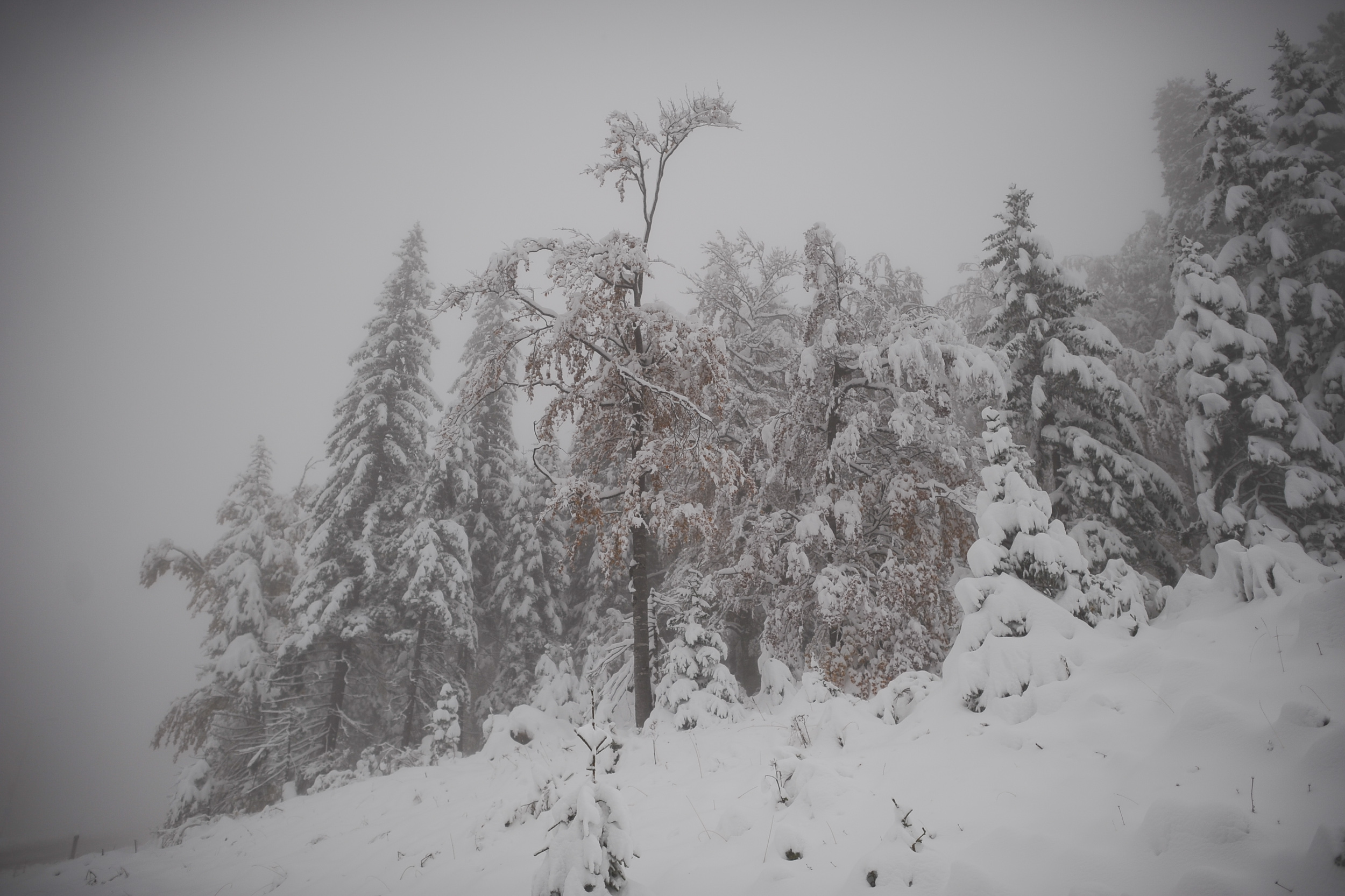 20171007_2_26150377_26575950 - Copy