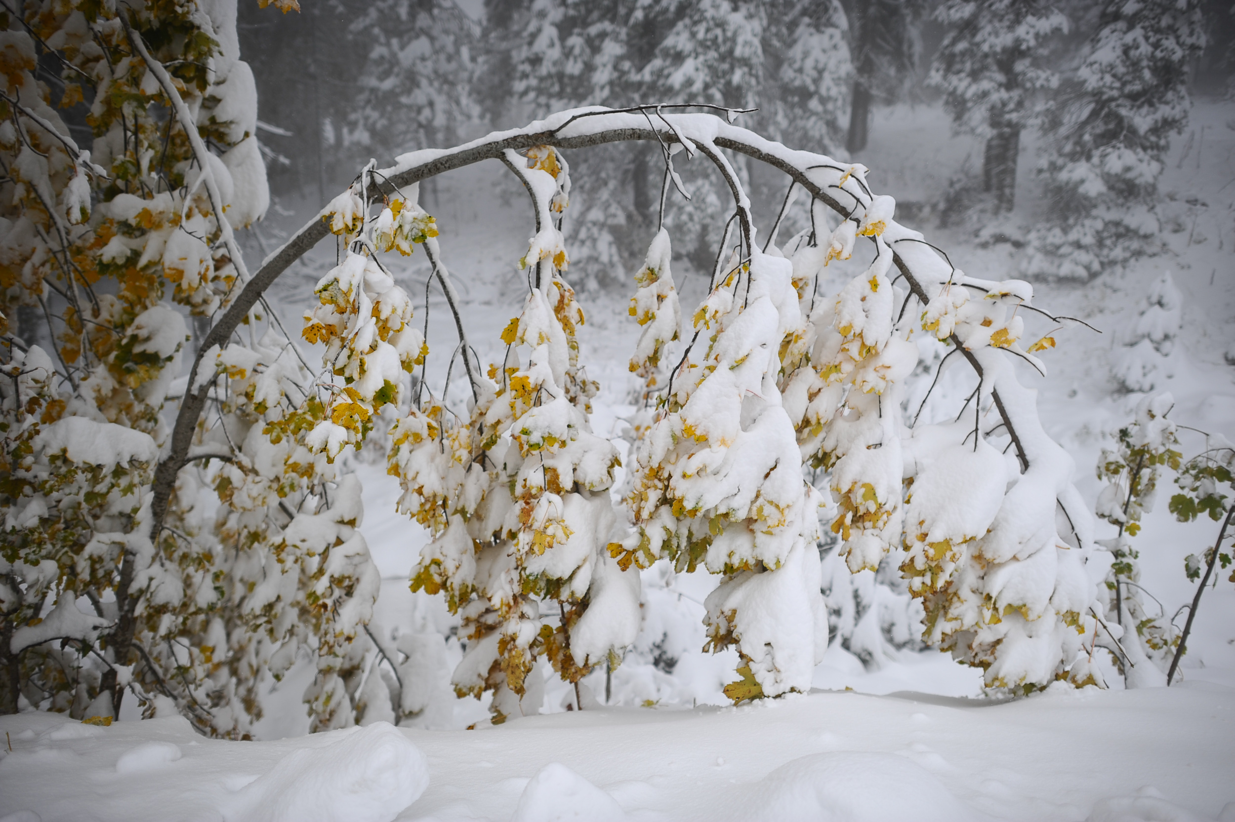 20171007_2_26150377_26575951