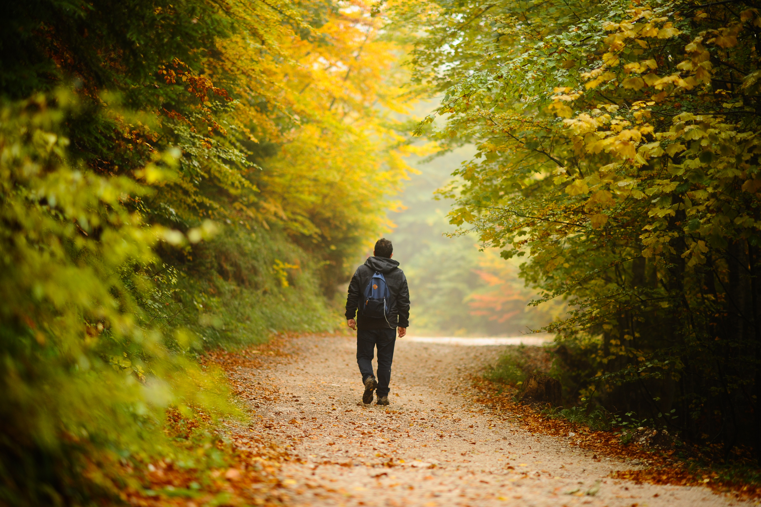 20171009_2_26173033_26621025