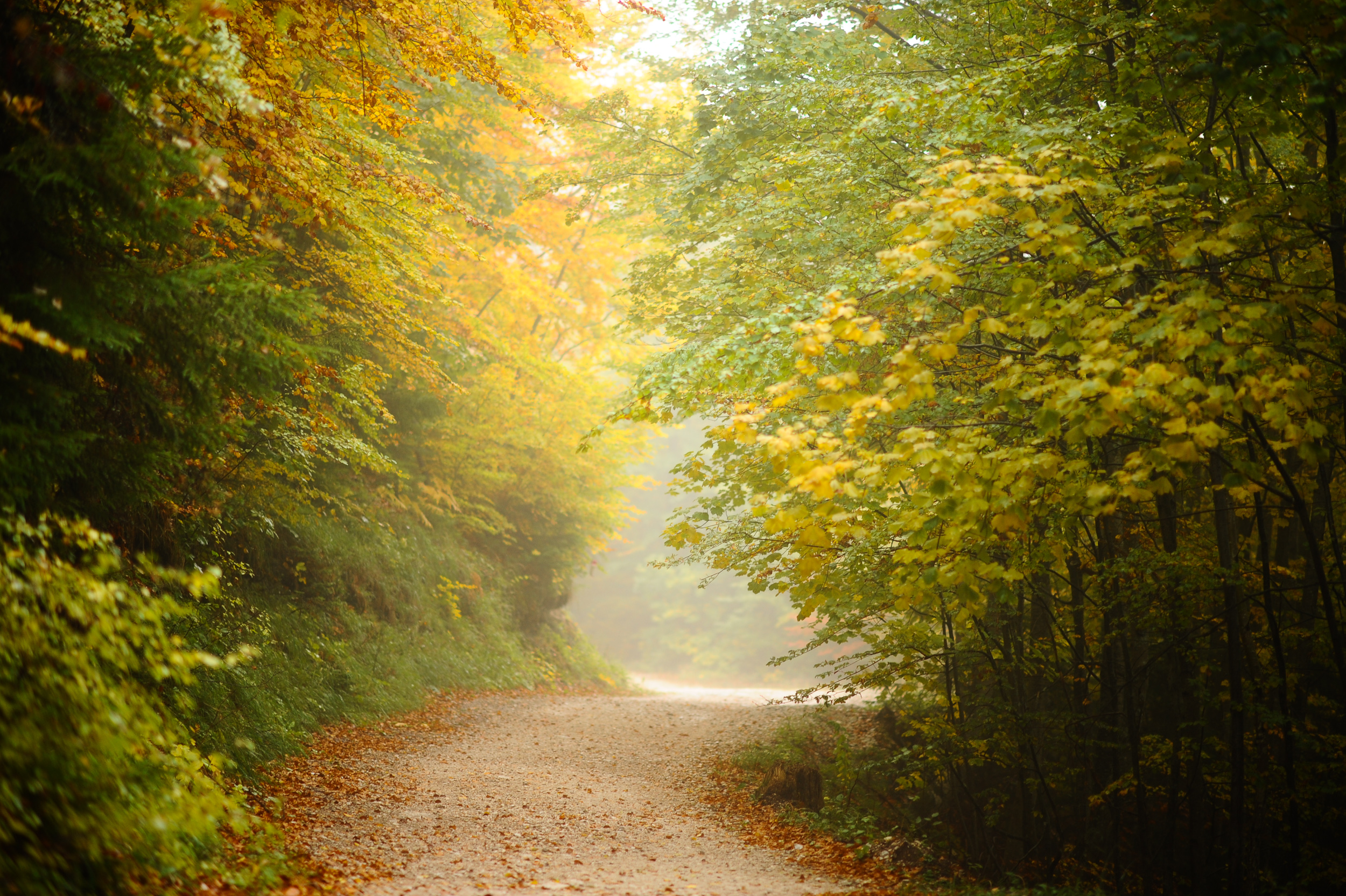 20171009_2_26173033_26621026