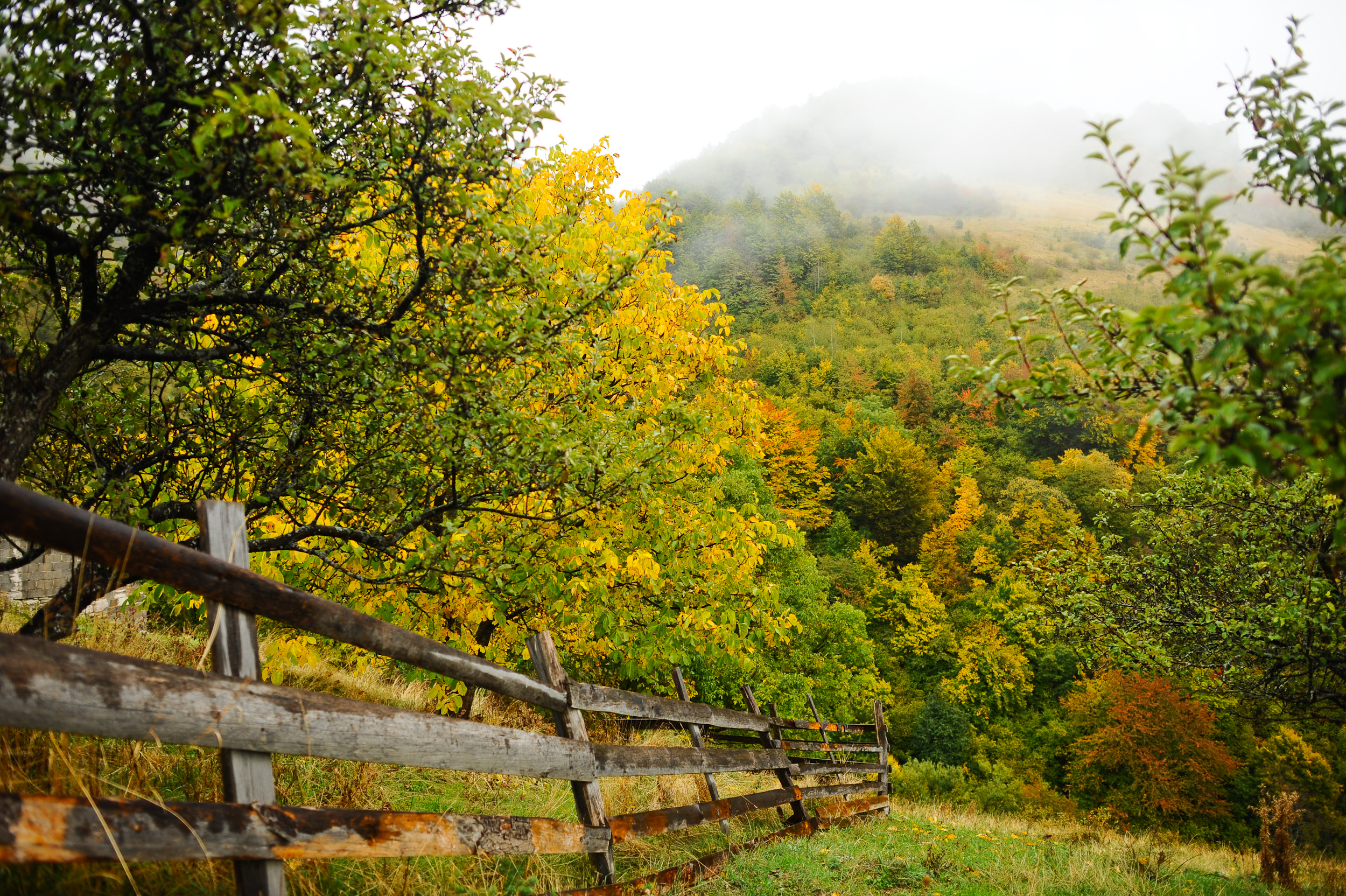 20171009_2_26173033_26621027