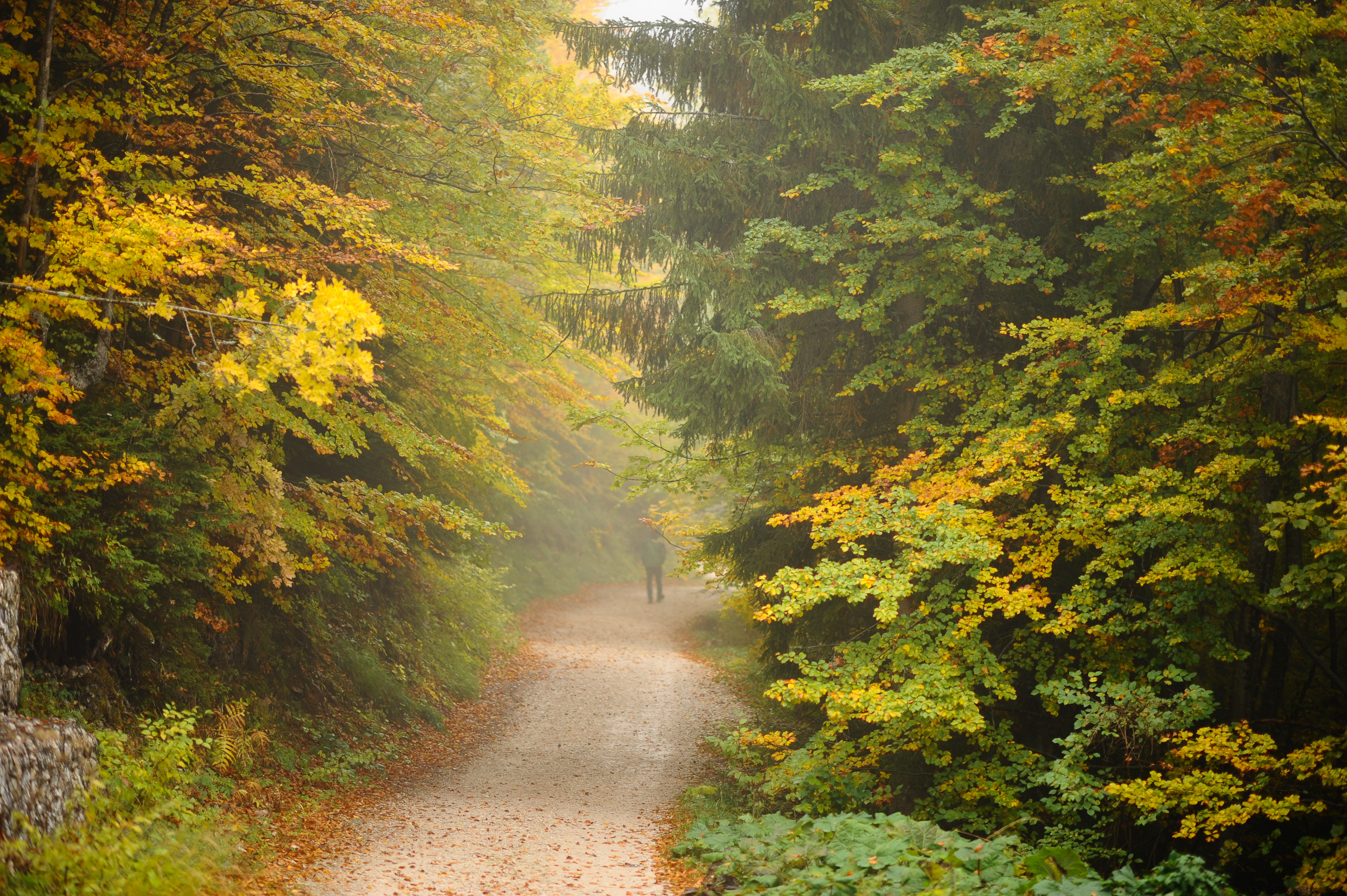 20171009_2_26173033_26621031