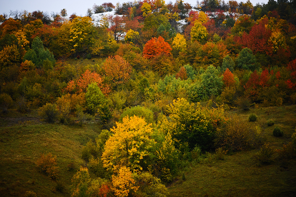 20171009_2_26173033_26621036