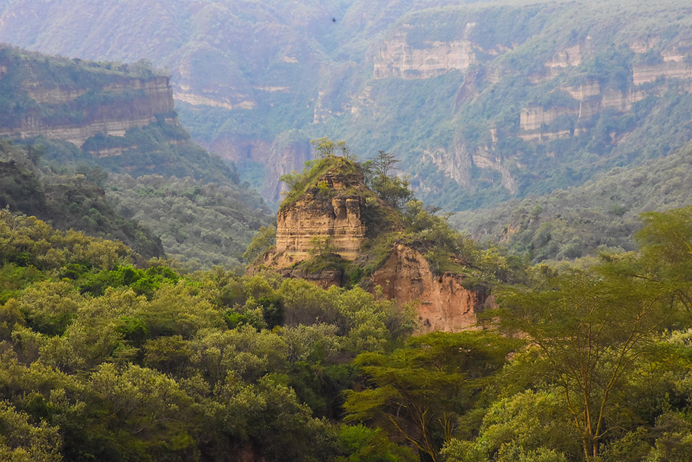 ANADOLIJA/Recep Canik