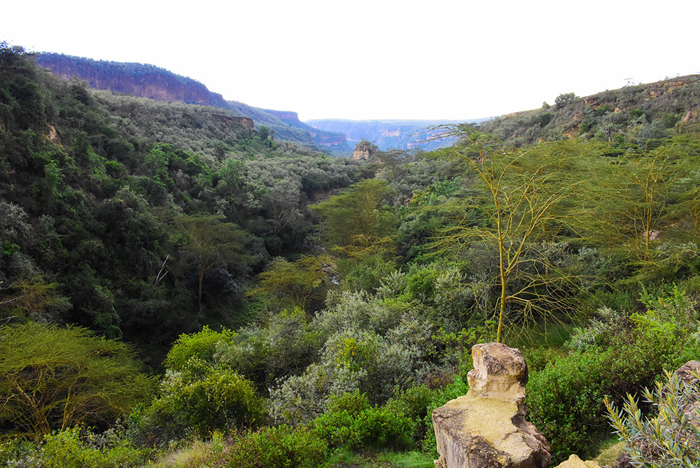 ANADOLIJA/Recep Canik