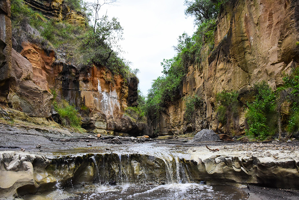 ANADOLIJA/Recep Canik