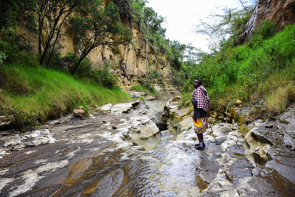 ANADOLIJA/Recep Canik