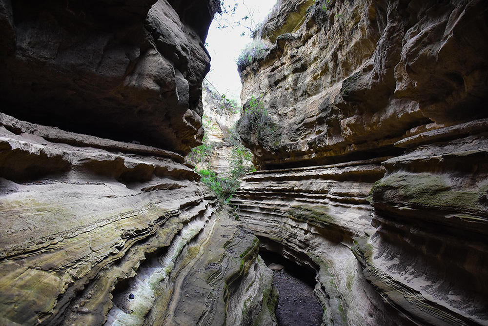 ANADOLIJA/Recep Canik