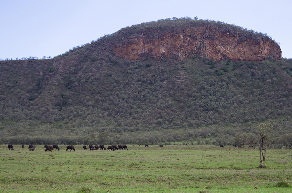 ANADOLIJA/Recep Canik