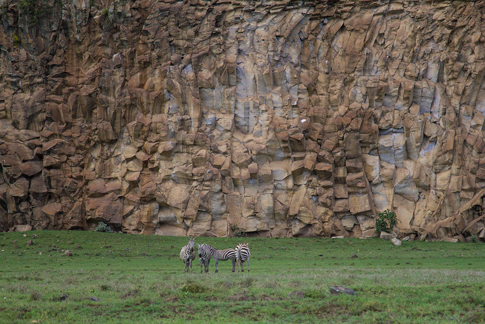 ANADOLIJA/Recep Canik