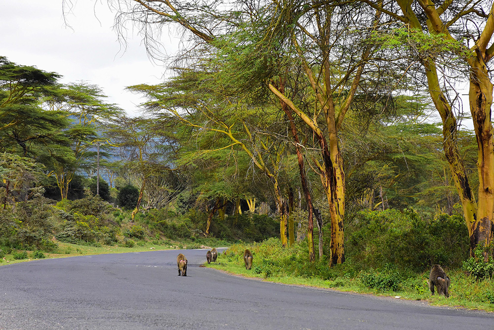 20171112_2_26829166_27750017