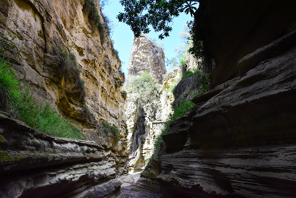 ANADOLIJA/Recep Canik