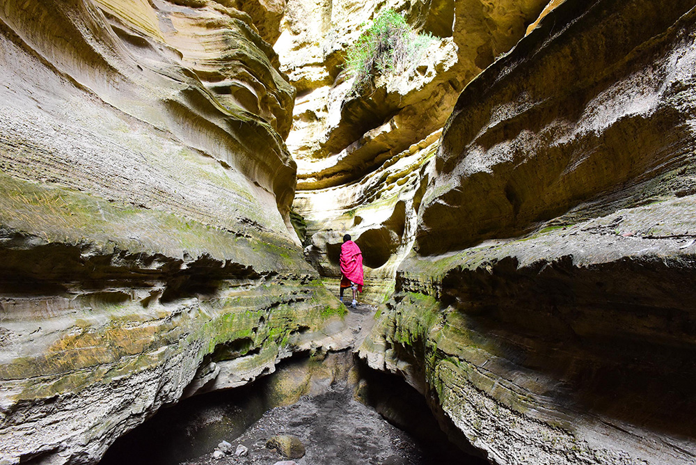ANADOLIJA/Recep Canik