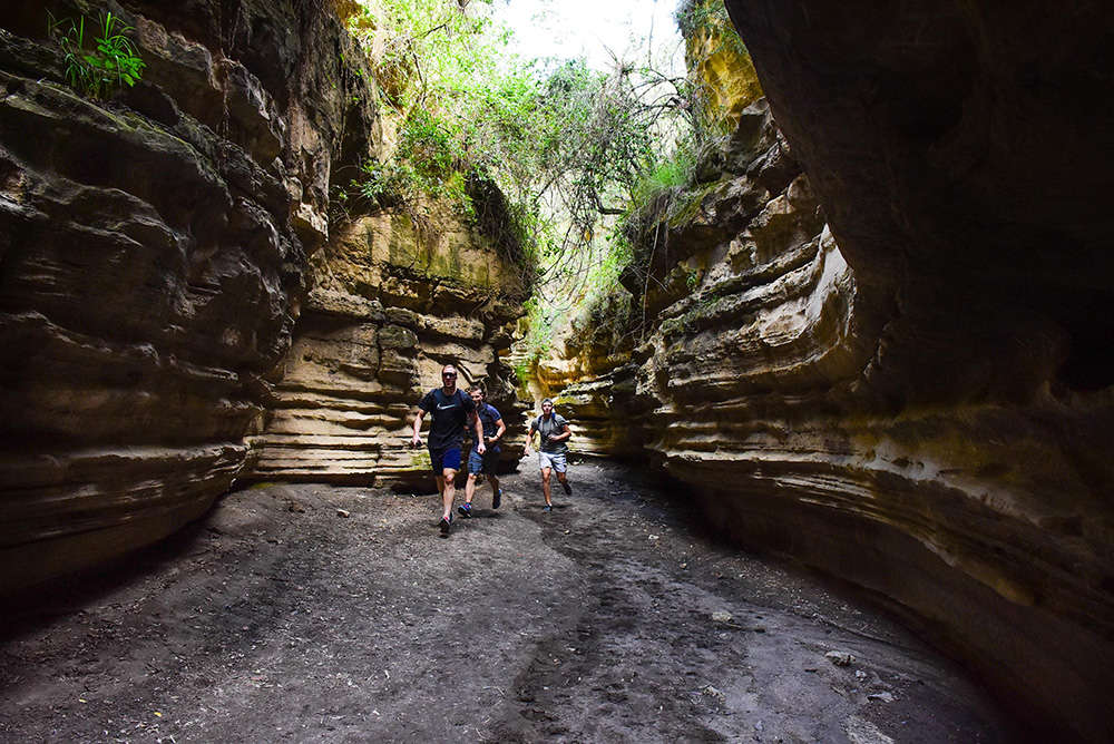 20171112_2_26829166_27750022