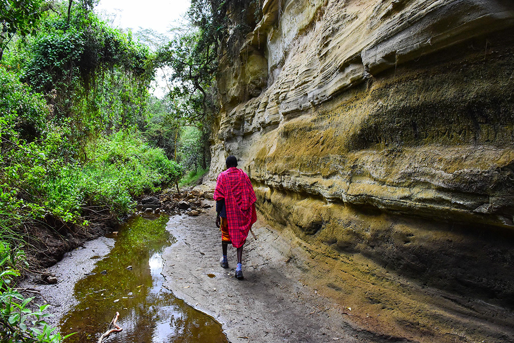 20171112_2_26829166_27750024