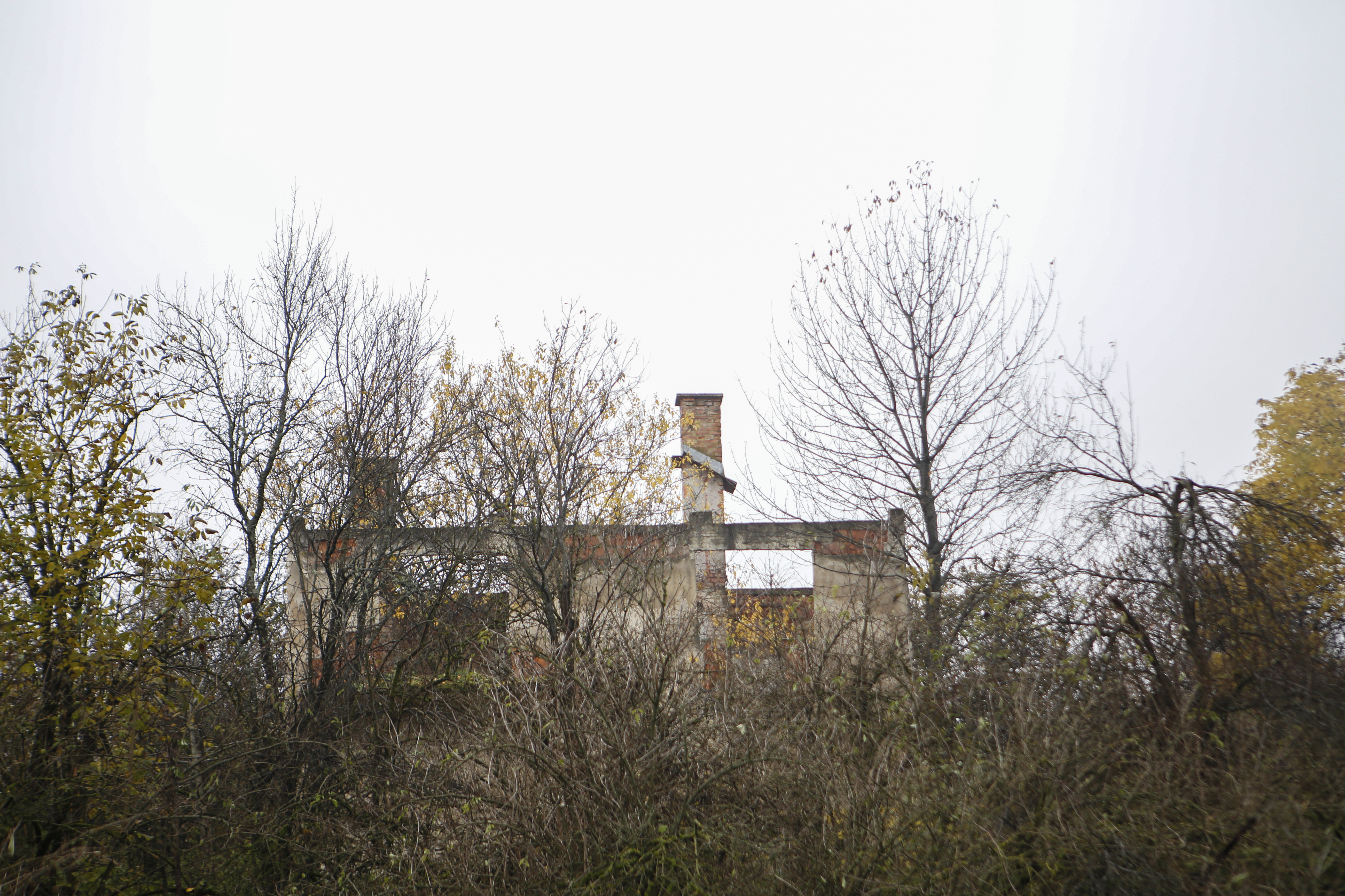 20171115_2_26885146_27839707