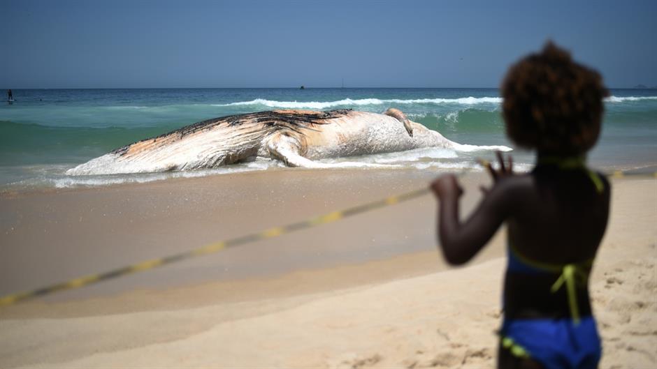 20171115_2_26899455_27865039