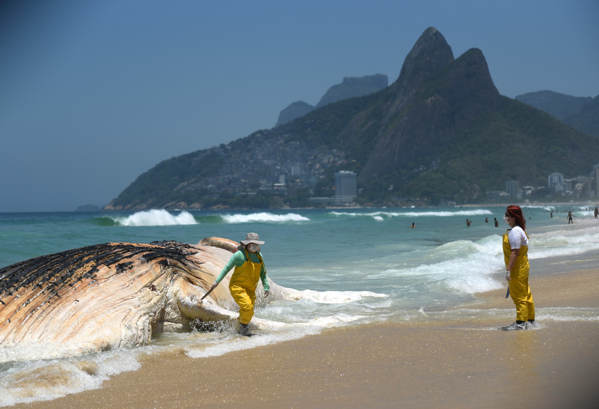 20171115_2_26899455_27865056