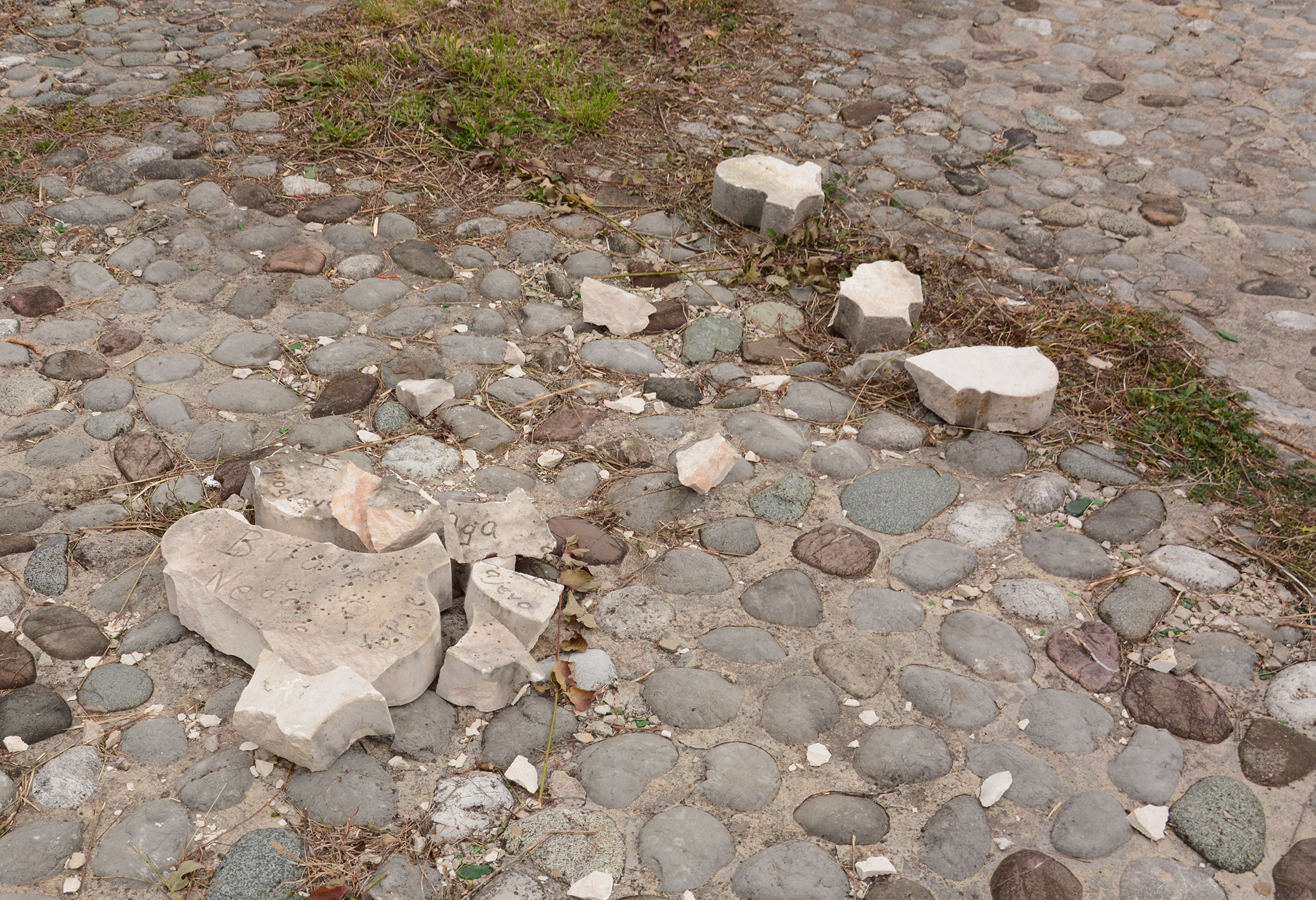 20171125_2_27100308_28173996