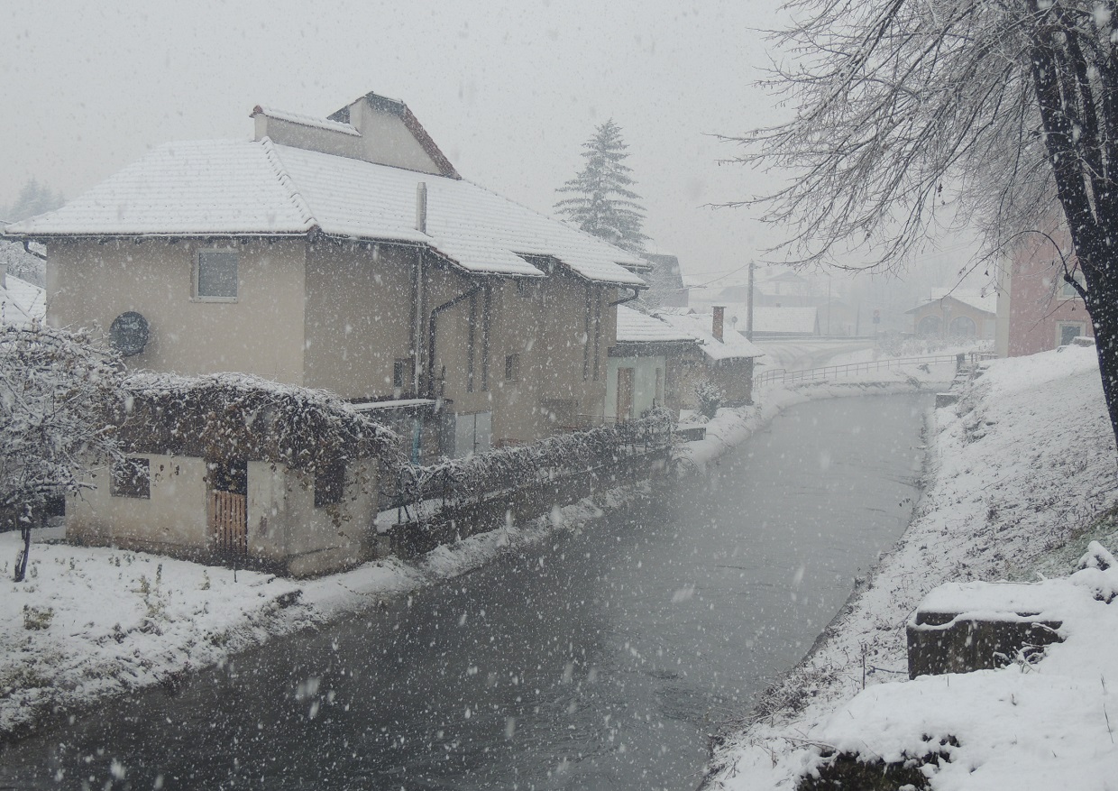 20171126_2_27122532_28216895