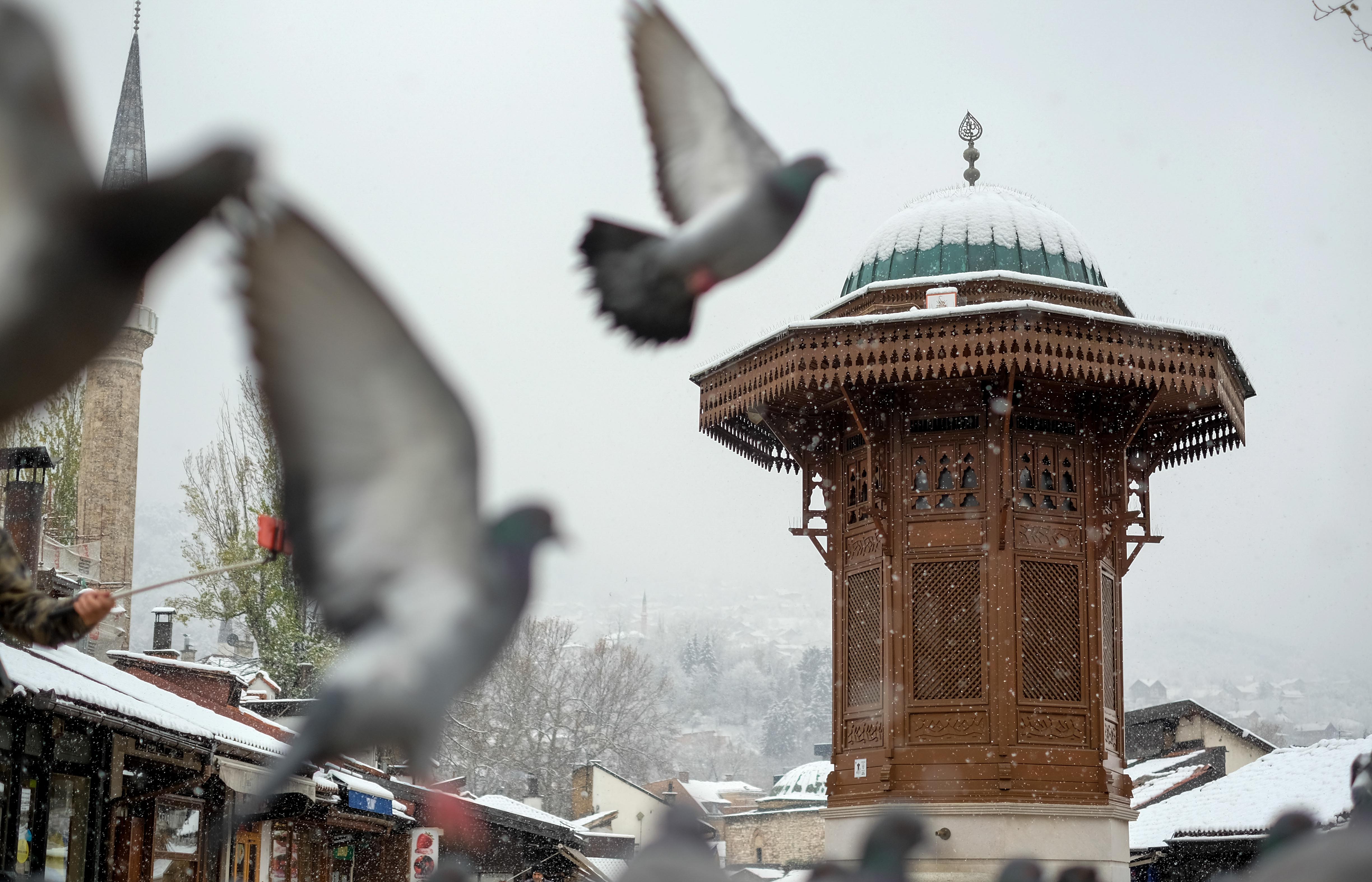 20171127_2_27132373_28231511