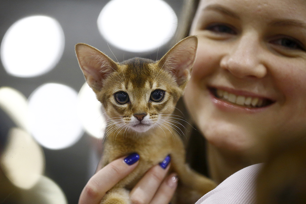 ANADOLIJA/Sefa Karacan