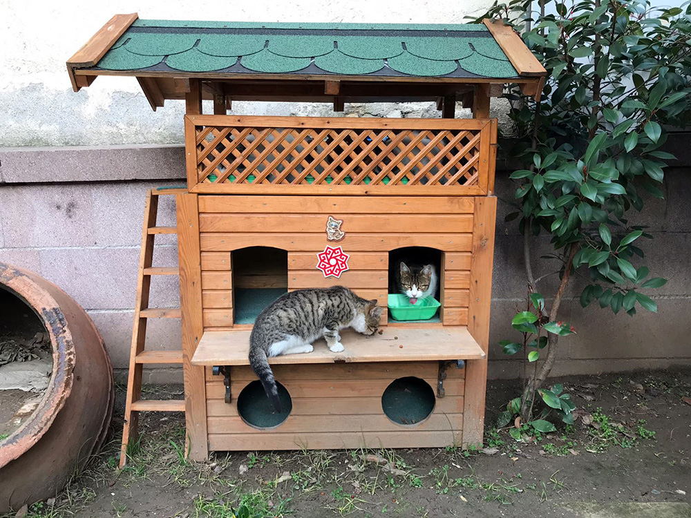 ANADOLIJA/Ministarstvo za šumarstvo i vodoprivredu Republike Turske