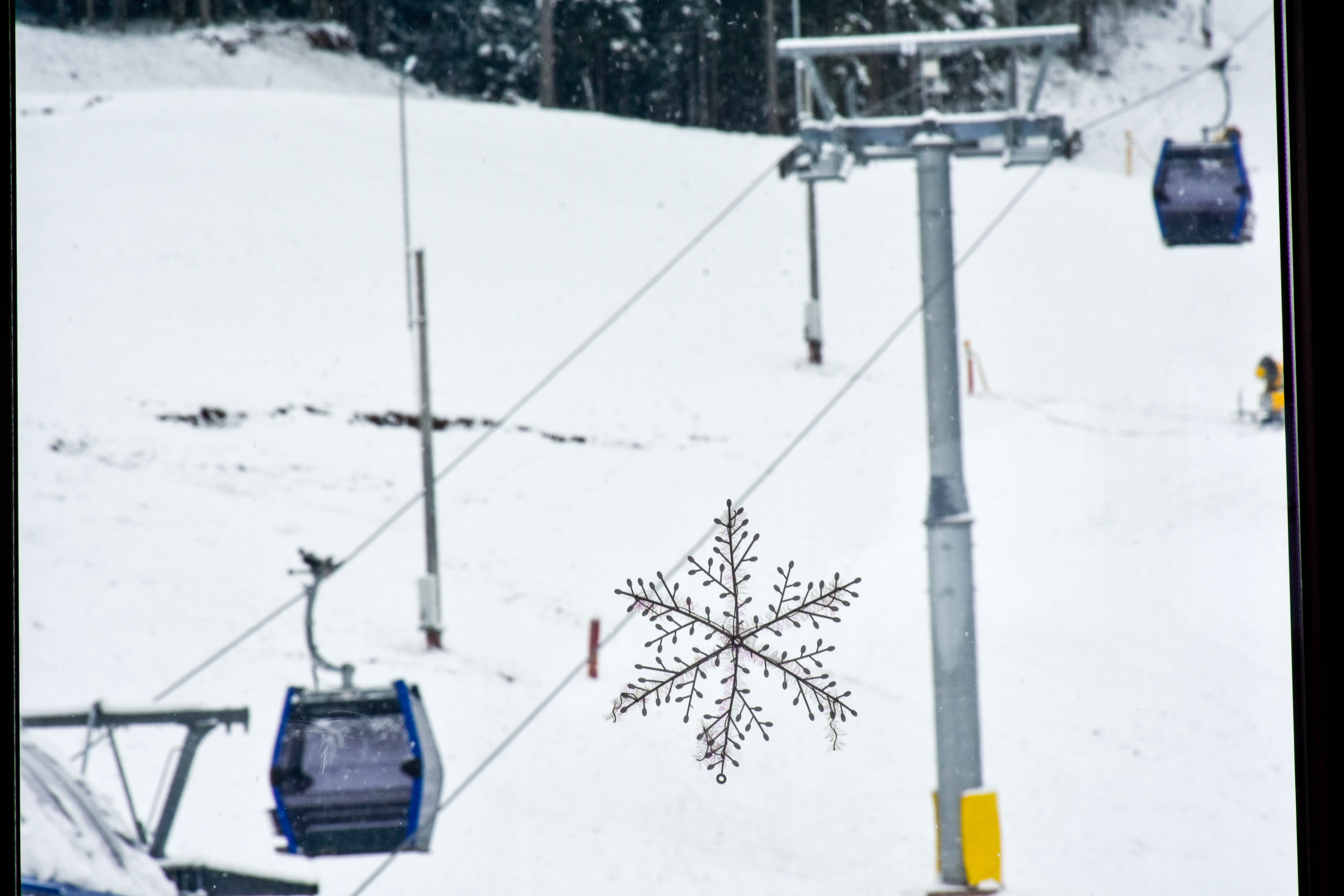 20171221_2_27636699_29063760