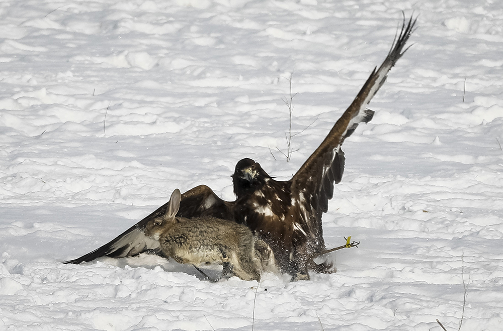 REUTERS/Shamil Zhumatov