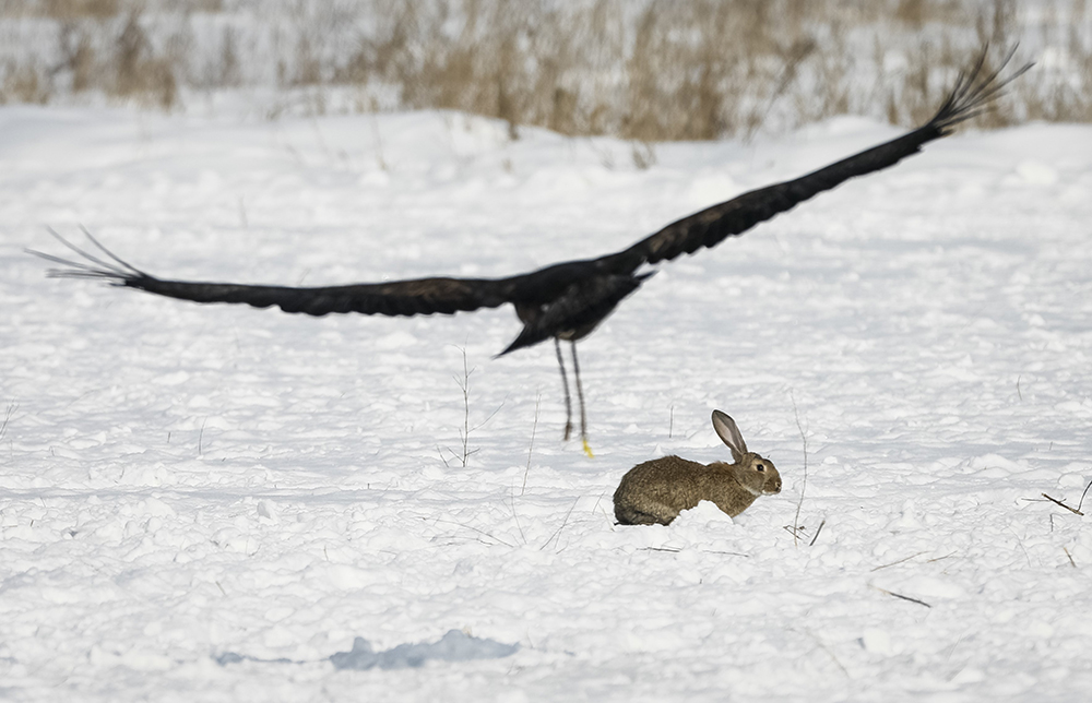 REUTERS/Shamil Zhumatov