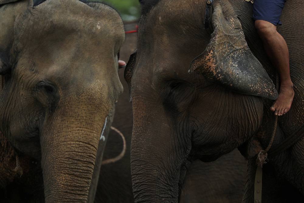 REUTERS/Soe Zeya Tun