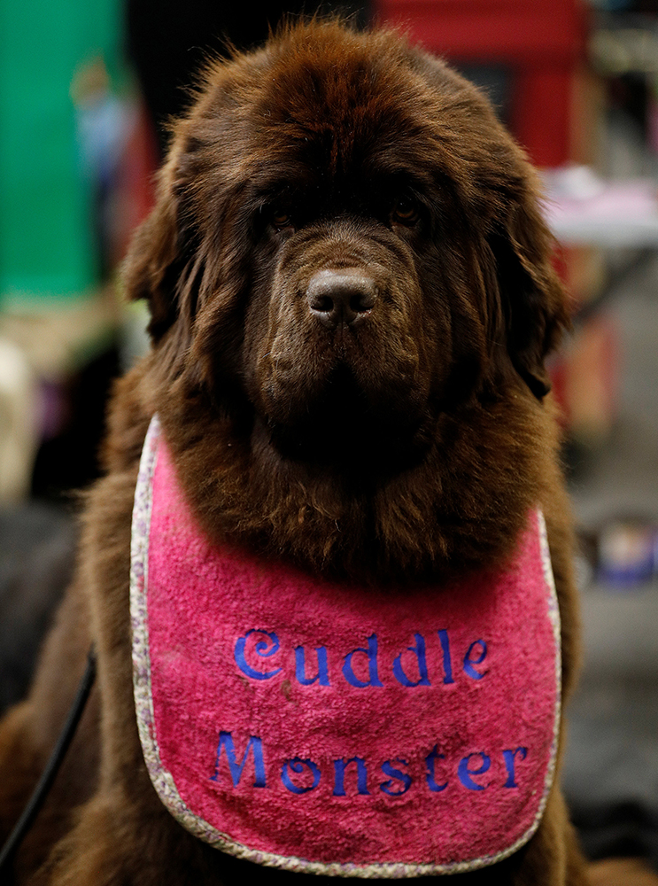 REUTERS/Darren Staples