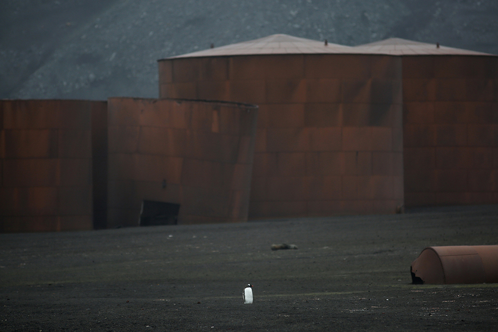 REUTERS/Alexandre Meneghini