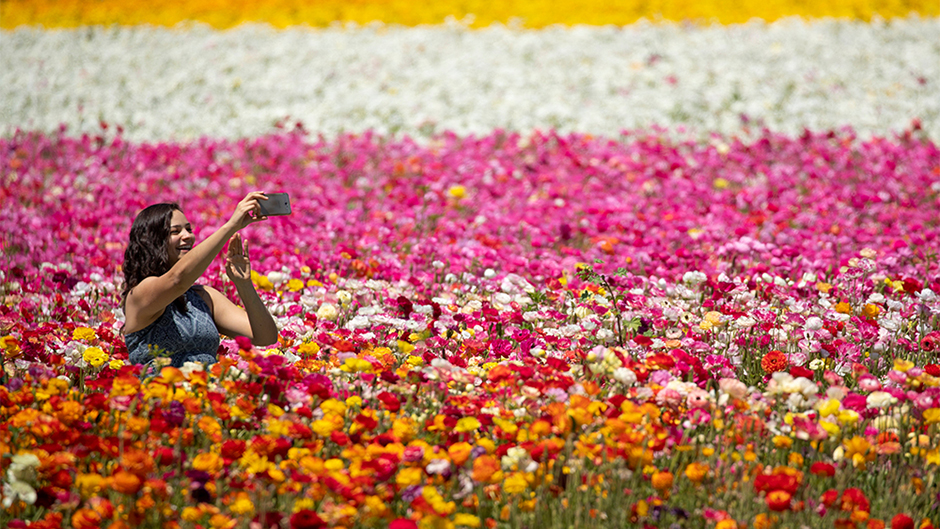 2018-04-26T223256Z_1871448070_RC1D23CEDFC0_RTRMADP_3_USA-DAILYLIFE 11