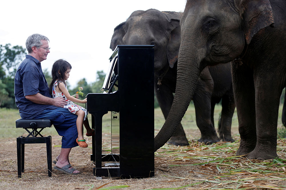 2018-12-09T090530Z_281540144_RC157DAA18E0_RTRMADP_3_THAILAND-ELEPHANT-MUSIC