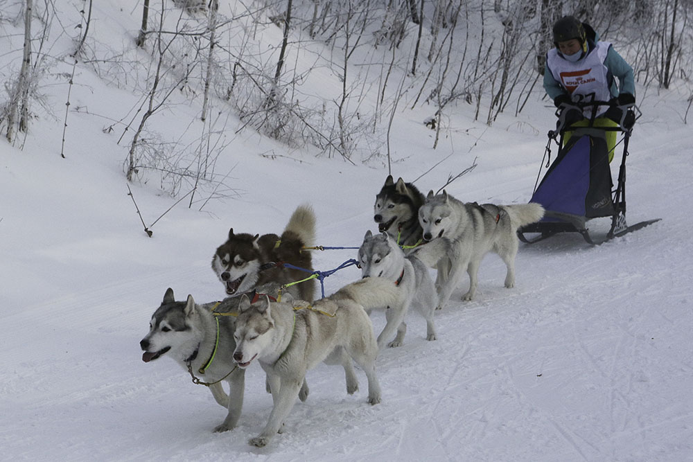 ANADOLIJA/Rostislav Netisov