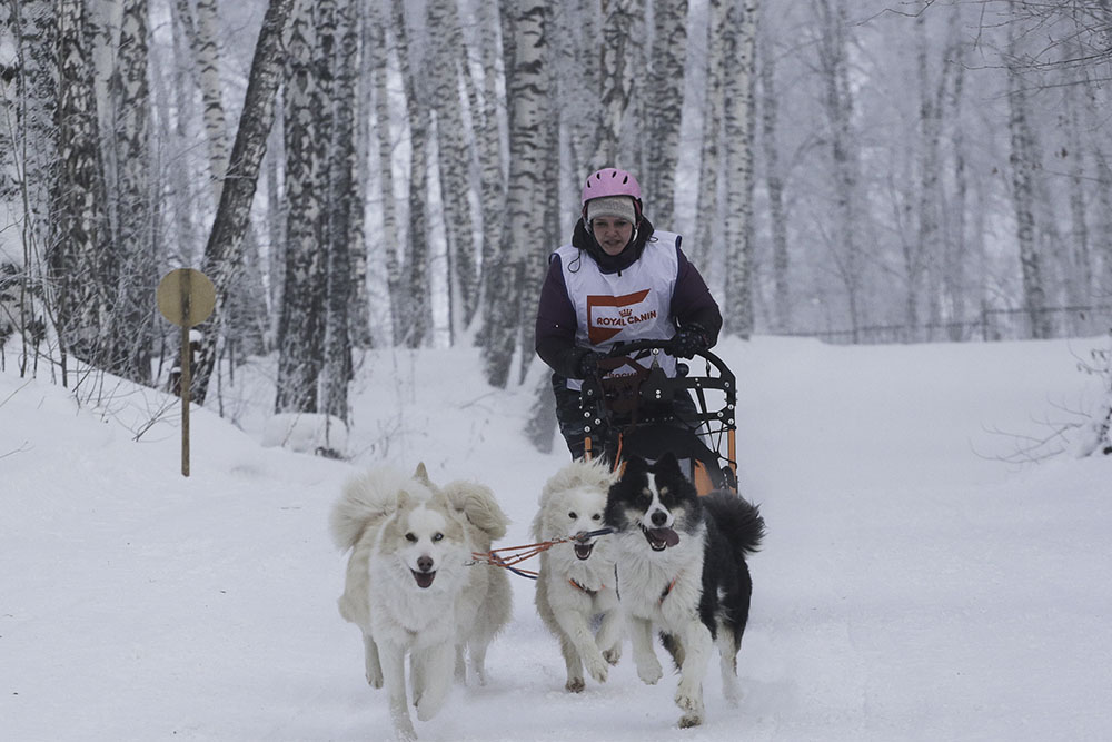 ANADOLIJA/Rostislav Netisov