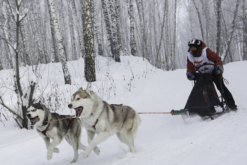 ANADOLIJA/Rostislav Netisov