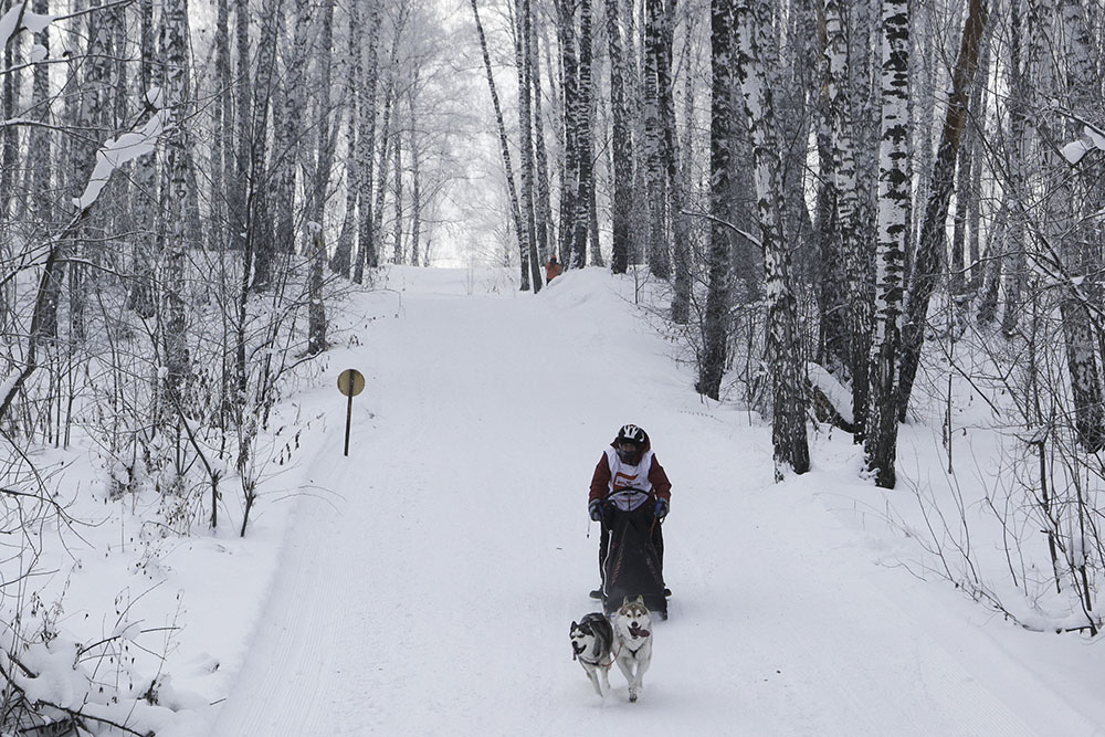 ANADOLIJA/Rostislav Netisov
