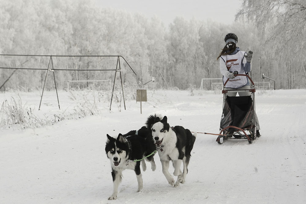 20180106_2_27944800_29526832