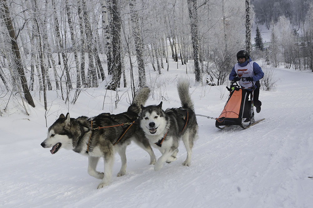 ANADOLIJA/Rostislav Netisov