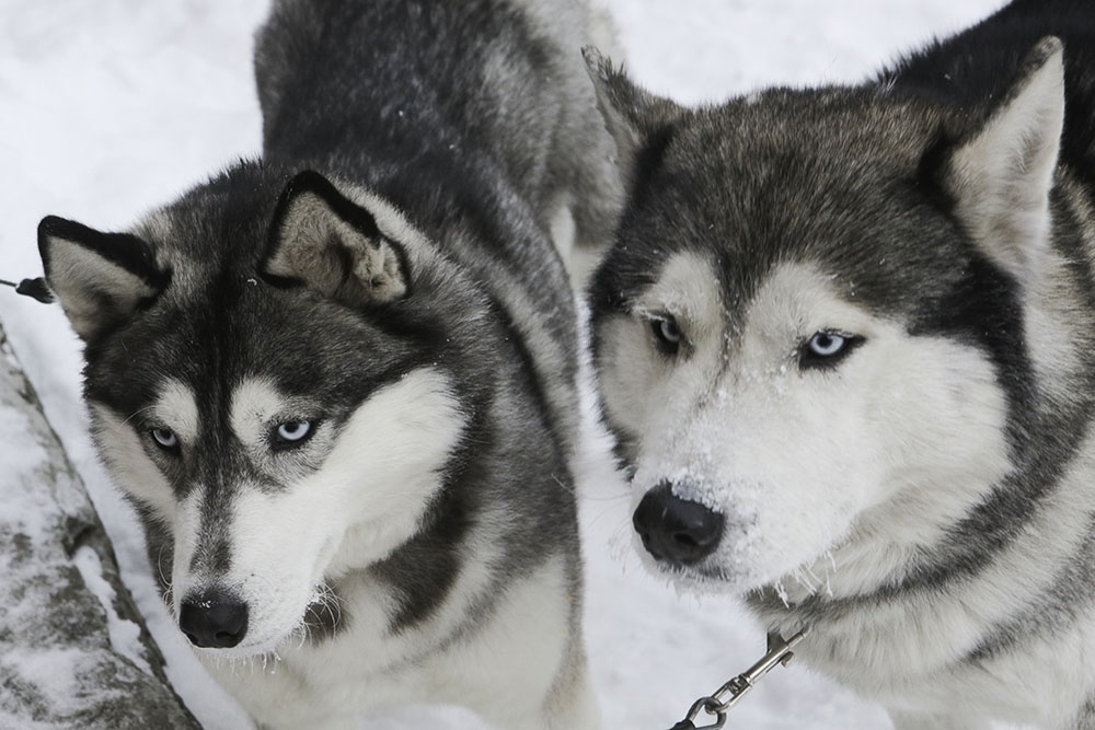 20180106_2_27944800_29526838