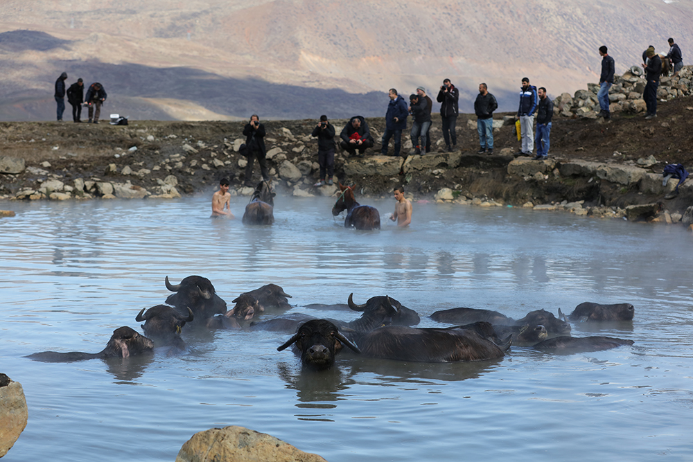 ANADOLIJA/Ali İhsan Öztürk