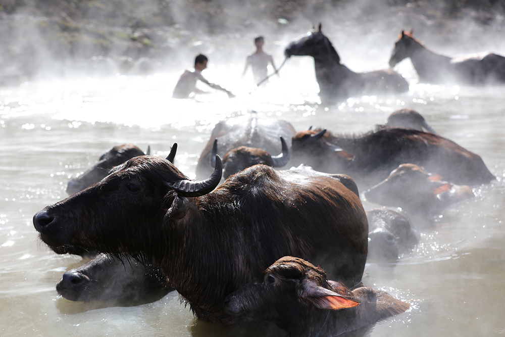 ANADOLIJA/Ali İhsan Öztürk