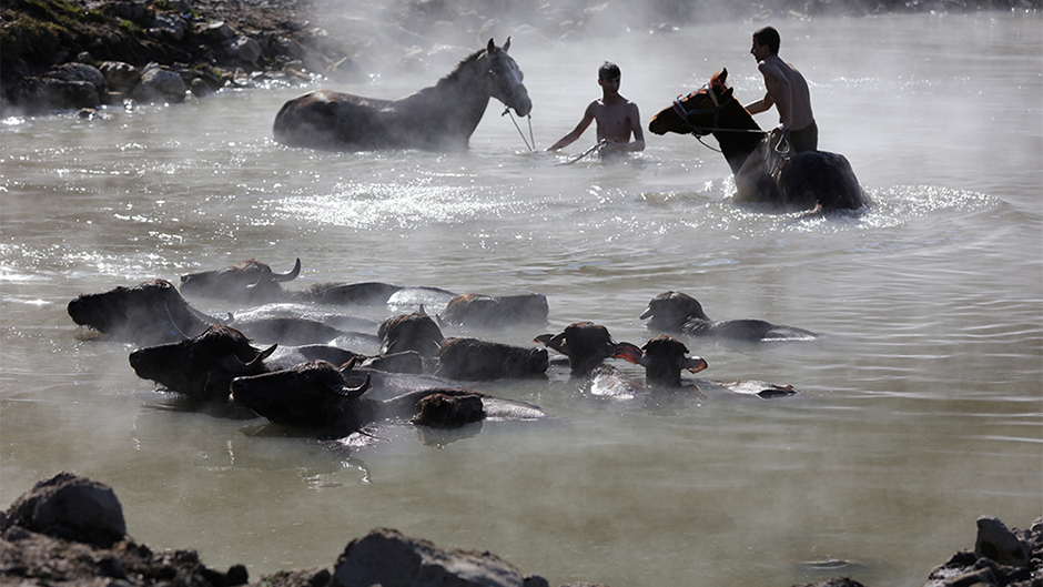 20180129_2_28391984_30259665 11