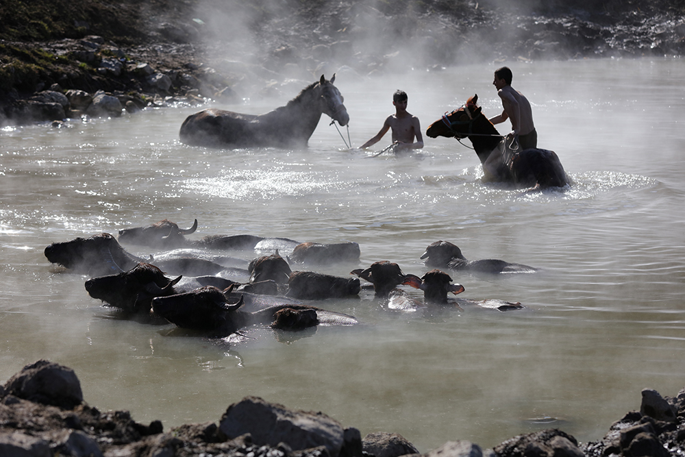ANADOLIJA/Ali İhsan Öztürk