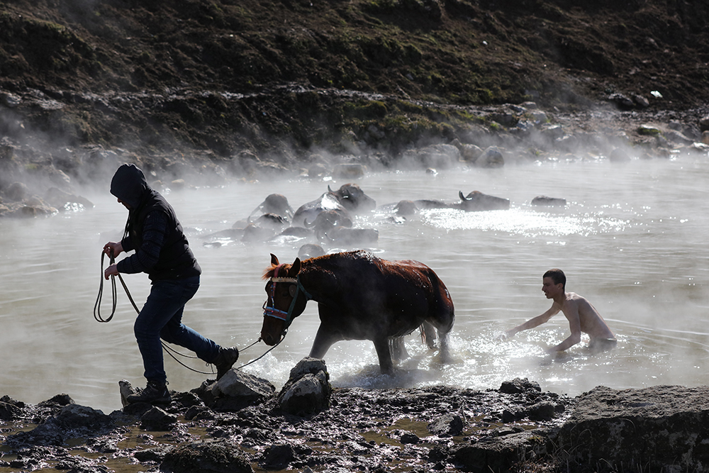 20180129_2_28391984_30259670